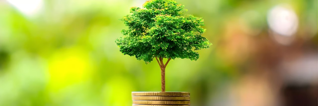 Sustainable finance and responsible investment